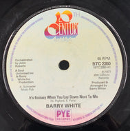 BARRY WHITE / It's Ecstasy When You Lay Down Next To Me