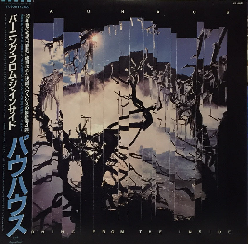 BAUHAUS / BURNING FROM THE INSIDE – TICRO MARKET