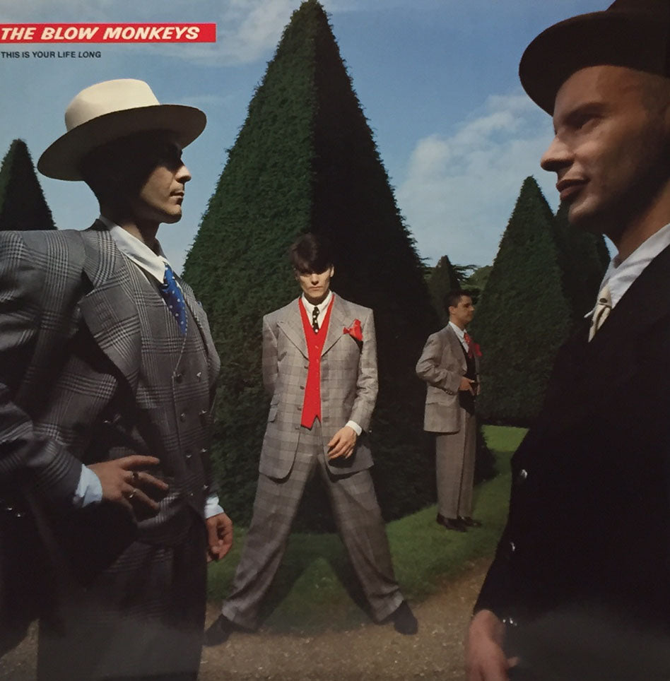 BLOW MONKEYS / THIS IS YOUR LIFE LONG – TICRO MARKET