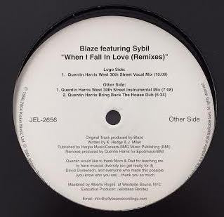 BLAZE / WHEN I FALL IN LOVE (Remixes)