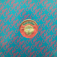 BIZ MARKIE / T.S.R. (TOILET STOOL RAP) / BUSY DOING NUTHIN'