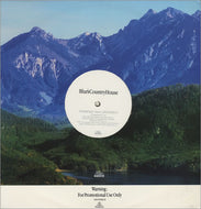BLUR / BLUR'S COUNTRY HOUSE