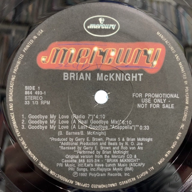 BRIAN McKNIGHT / Goodbye My Love – TICRO MARKET