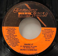 BERES HAMMOND / RAISE IT
