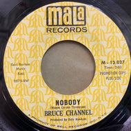BRUCE CHANNEL / Nobody