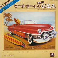 BEACH BOYS / Beach Boys Medley (Long Version)