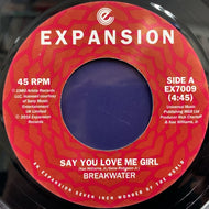 BREAKWATER / Say You Love Me Girl
