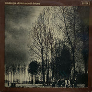 BINTANGS / Down South Blues