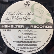 BIG MOSES / That's How Much I Love You