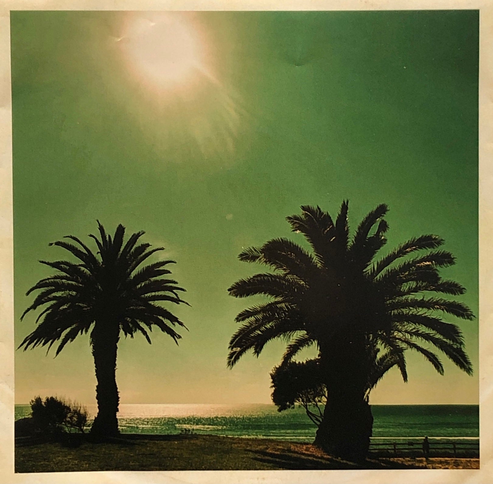 BONUS POINTS / Off Topic – TICRO MARKET