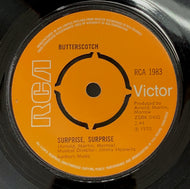 BUTTERSCOTCH / Surprise, Surprise / In This World Of Loving You