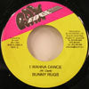 BUNNY RAGS / I WANNA DANCE