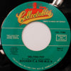 BOOKER T. & THE MG's / MELTING POT