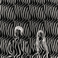 BEACH HOUSE / ZEBRA