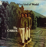 CABLES / WHAT KIND OF WORLD