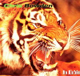 CHRIS BOWDEN / IN ORBIT