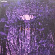 CRUSTATION / PURPLE (inc. Jay Dee/J Dilla REMIX)