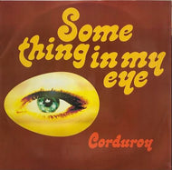 CORDUROY / SOMETHING IN MY EYE