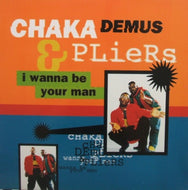 CHAKA DEMUS & PLIERS / I WANNA BE YOUR MAN