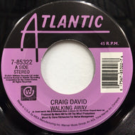 CRAIG DAVID / WALKING AWAY