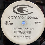 COMMON SENSE / PHARCYDE / Resurrection / Runnin'