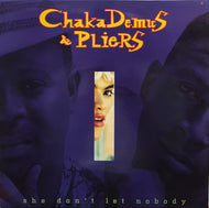 CHAKA DEMUS & PLIERS / SHE DON'T LET NOBODY