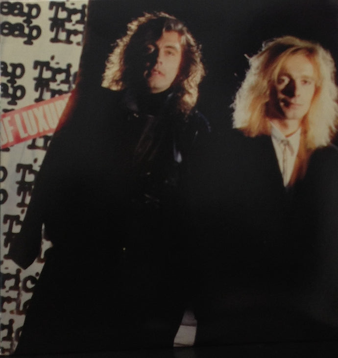 CHEAP TRICK / LAP OF LUXURY – TICRO MARKET