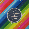 CASIOTONE FOR THE PAINFULLY ALONE / ROBERTA C
