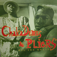 CHAKA DEMUS & PLIERS / ALL SHE WROTE
