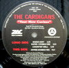 CARDIGANS / YOUR NEW CUCKOO