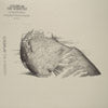 COLDPLAY / THE SCIENTIST