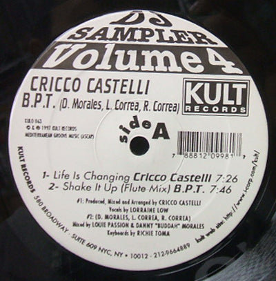 CRICCO CASTELLI / DJ SAMPLER VOLUME 4 : LIFE IS CHANGING