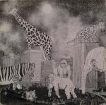 CASHMERE JUNGLE LORDS / OODJIE-BOODJIE NIGHT-NIGHT