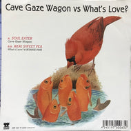 CAVE GAZE WAGON vs WHAT'S LOVE? / SOUL EATER / AKAI SWEET PEA