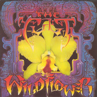CULT / WILD FLOWER