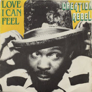 CREATION REBEL / LOVE I CAN FEEL
