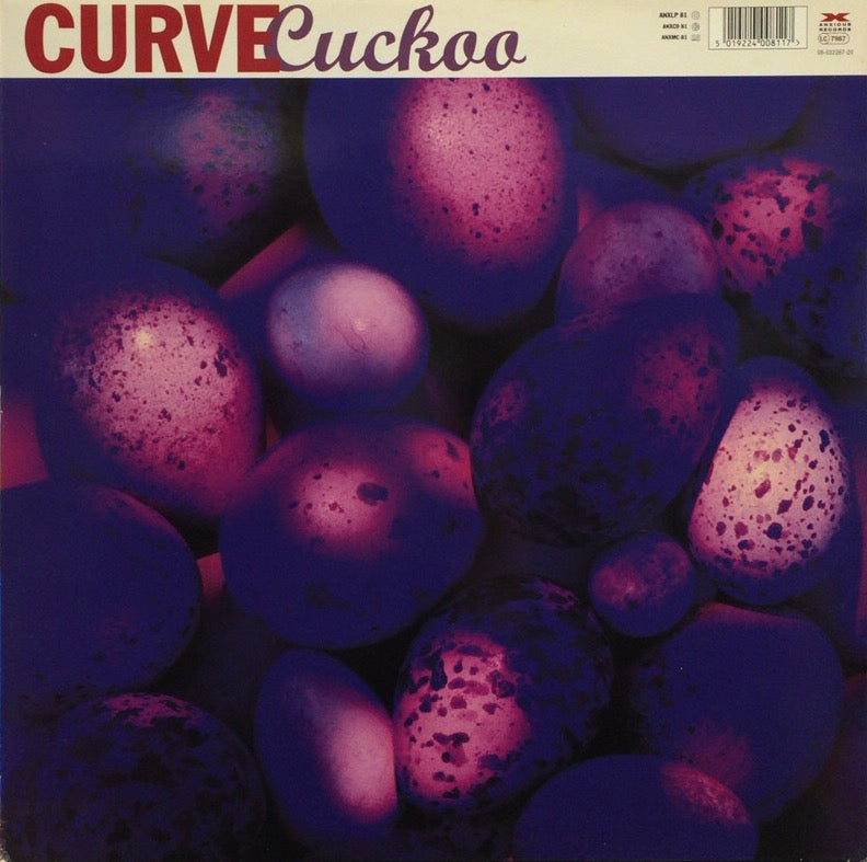 CURVE / Cuckoo – TICRO MARKET