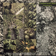 CAMBERWELL NOW / Greenfingers