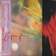 COCTEAU TWINS / Echoes In A Shallow Bay (帯付)