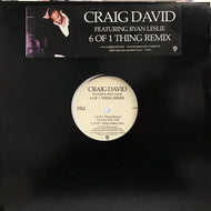 CRAIG DAVID / 6 OF 1 THING (REMIX)