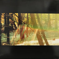 CHILDISH GAMBINO / CAMP
