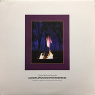 CARLOS NINO & FRIENDS / AURORASMUSHROOMTENDERNESS