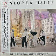 CASIOPEA （カシオペア） / Halle (帯付)