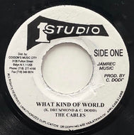 CABLES / What Kind Of World