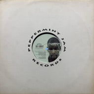 CUNNIE WILLIAMS / A World Celebration