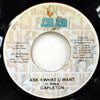 CAPLETON / ASK 4 WHAT U WANT