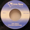 CAPLTON & CHRISTOPHER / THE LEVELS
