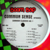 COMMON SENSE / I USED TO LOVE H.E.R.-9TH WONDER REMIX
