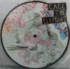 CAGE THE ELEPHANT / AIN'T NO REST FOR THE WICKED