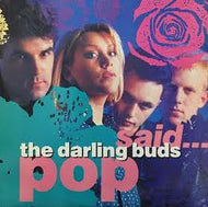 DARLING BUDS / POP SAID